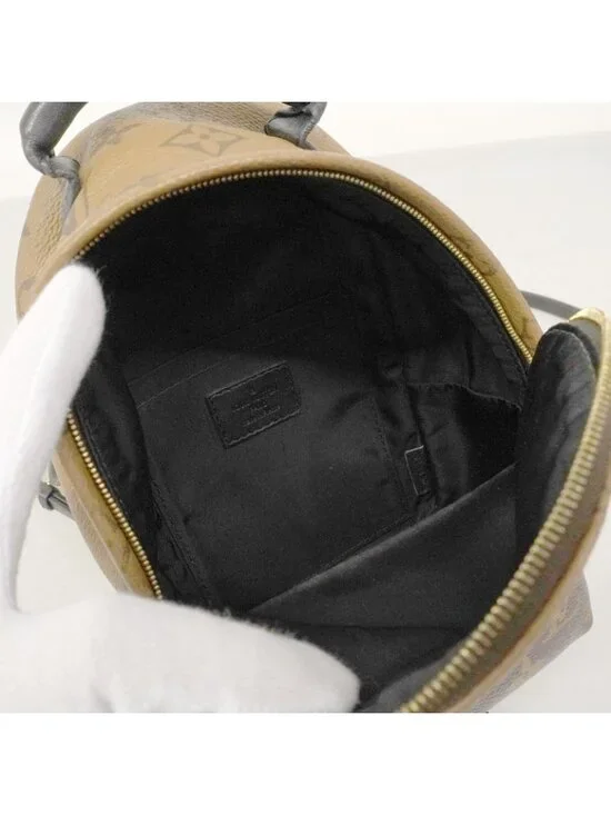 Louis Vuitton Backpack Monogram Reverse Palm Spring Mini Brown - Picture 4 of 10